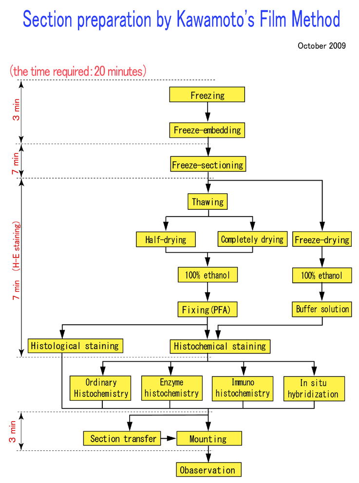 Cryofilm type 2C(10)ʹ�÷���